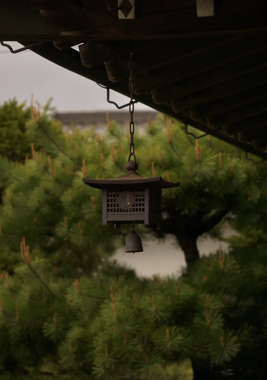 Inaka Lodge details and atmosphere