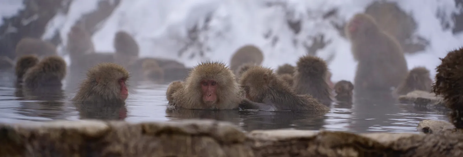 Explore section panorama 2